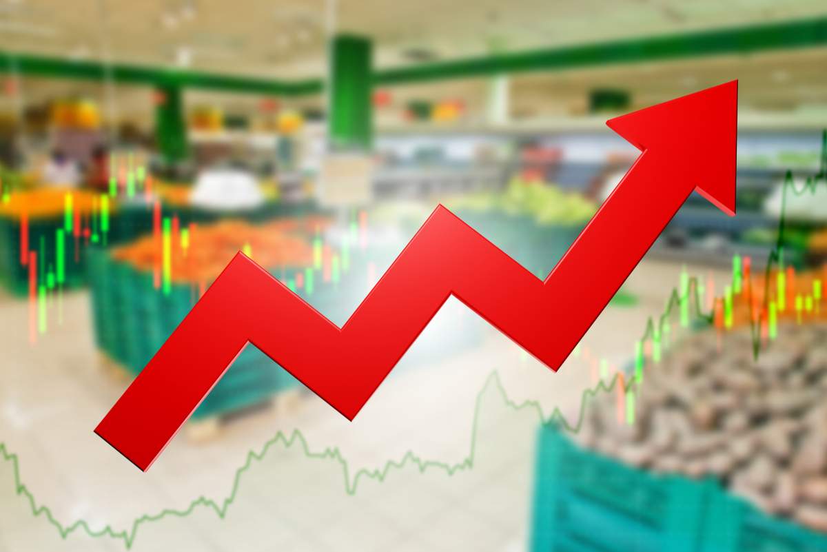 糧食出口禁令的多米諾效應：從印度大米禁令到全球米價飆升的傳導鏈